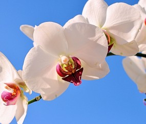 山西正规助孕捐卵机构，附正规捐卵机构报名表！